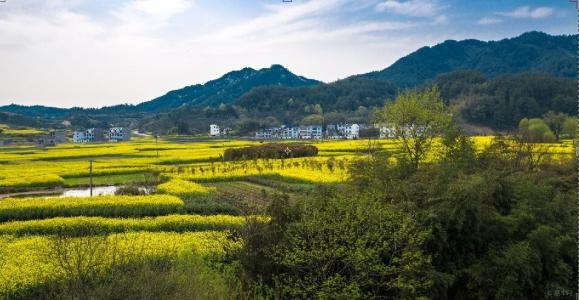手機(jī)信號(hào)增強(qiáng)|跟弱信號(hào)說(shuō)拜拜，用這個(gè)方法實(shí)現(xiàn)網(wǎng)絡(luò)信號(hào)100%